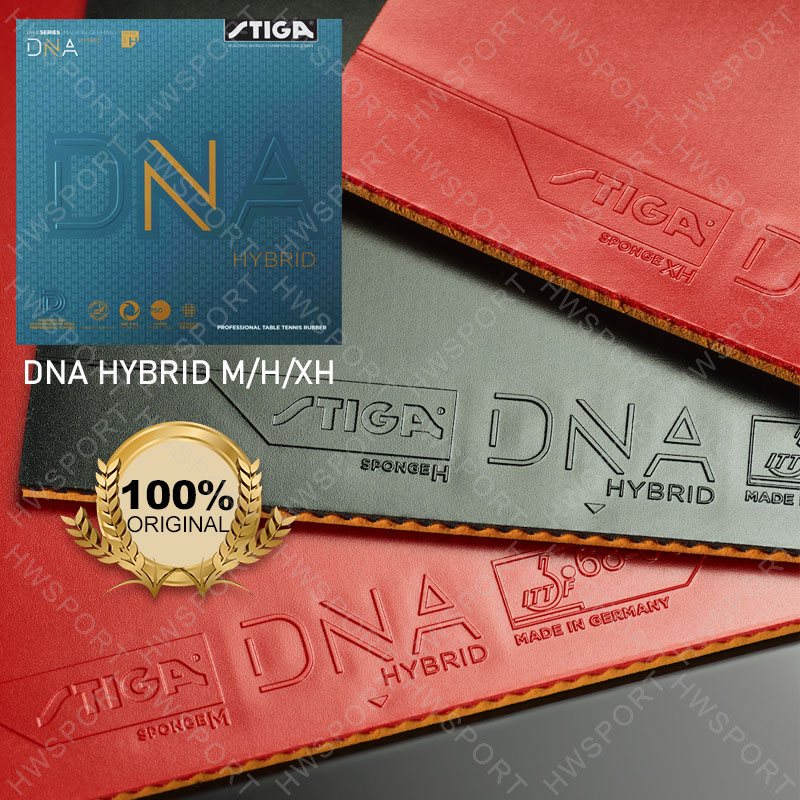 Table Tennis Form - STIGA DNA HYBRID Series Table Tennis