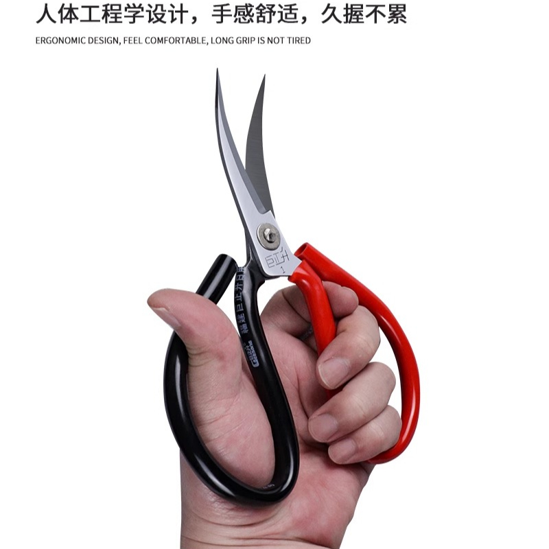 Table Tennis Racket Rubber Spe - Table Tennis Form review and price