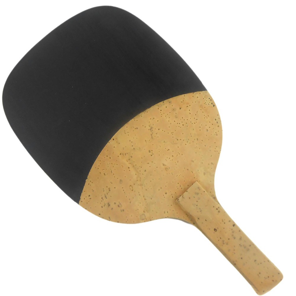PALIO 8603 Carbon Titanium Tab - Table Tennis Japanese review and price
